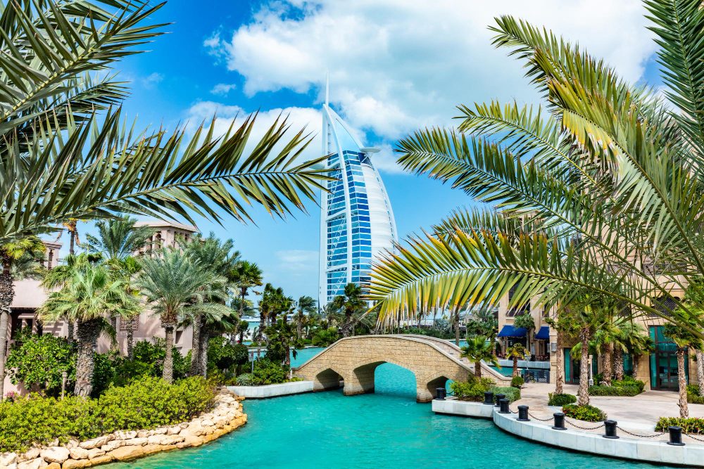 Acasa imagine 18